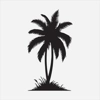 palm tree silhouette on a white background vector