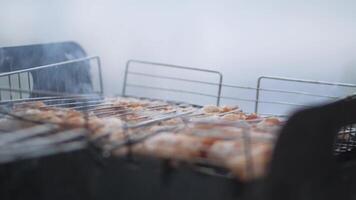 Chicken wings grilled on the grill in a BBQ grate video