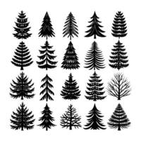 Set of hand drawn pine tree Art Illustration vector