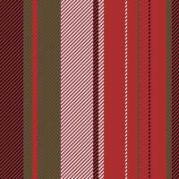 Stripes pattern background. Colorful stripe abstract texture. vector