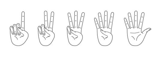 Palms count from one to five. Counting hands, hand gestures. line illustration isolated on white. vector