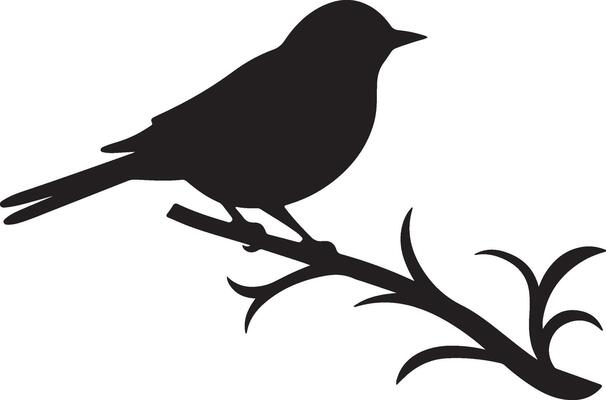 Bulbul Bird Silhouette Illustration White Background