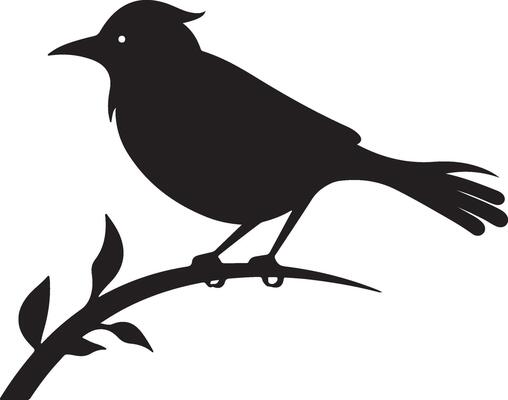 Bulbul Bird Silhouette Illustration White Background