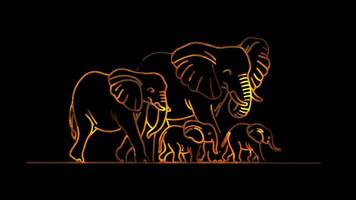 Neon frame effect family of elephants glow, black background. video