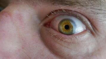 Closeup of hazel green eyes blinking, person blinking, iris and pupil, man at optician video