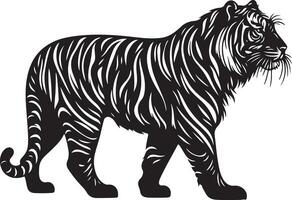 Tiger sketch art, Tiger line art illustration vector