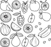 Fruits coloring page for kids colouring book page illustration vector