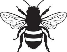 Honey Bee icon, honey bee silhouette on white background.Cute bee set. Color, black and white, silhouette bee collection. illustration for drawing. vector