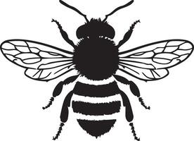 Honey Bee icon, honey bee silhouette on white background.Cute bee set. Color, black and white, silhouette bee collection. illustration for drawing. vector