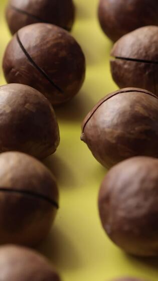 Nahansicht von Macadamia Nuss Saat Hintergrund 46527706 Stock-Video bei Vecteezy