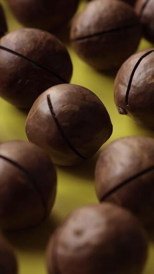 Nahansicht von Macadamia Nuss Saat Hintergrund 46527707 Stock-Video bei Vecteezy