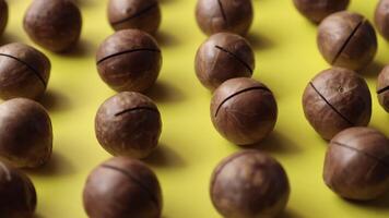 Closeup of macadamia nut seeds background video