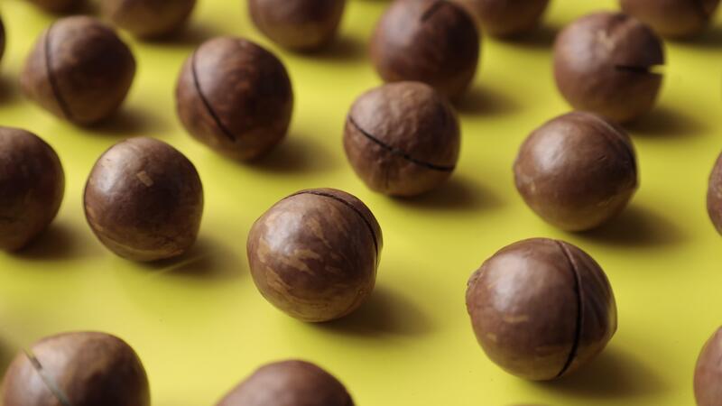 Nahansicht von Macadamia Nuss Saat Hintergrund 46527716 Stock-Video bei Vecteezy