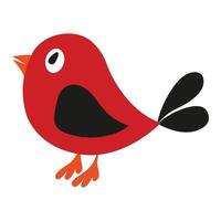 a red bird vector