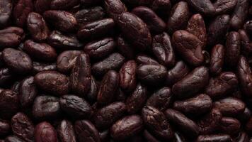 Cocoa beans seeds background video