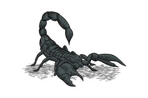 scorpion hand drawn illustration with color vector