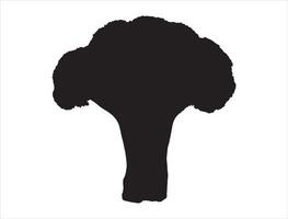 Broccoli silhouette on white background vector