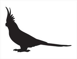Cockatiel silhouette on white background vector