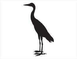 Egret silhouette on white background vector