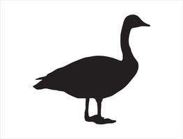 Canada goose silhouette on white background vector
