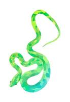 Light green Snake in Polygonal style. Triangular shapes, Beautiful thin flexible snake on white background. Print item decoration for websites or app vector