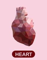Human heart in triangulation style. vector