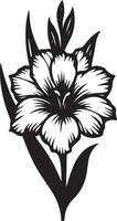 gladiolus flower color vector