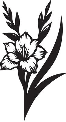 gladiolus flower color