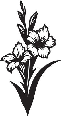 gladiolus flower color