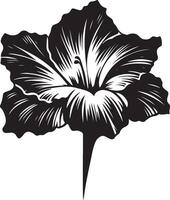 gladiolus flower color vector