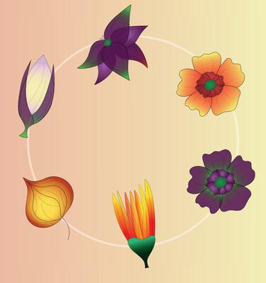 Flowers and Physalis Buds Collage. Abstract contemporary Modern Trendy Illustration, hand drawn Botanical elements. art arrangement for pattern, posters, invitation, greeting cards
