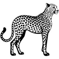 cheetah silhouette illustration Design on a white background vector