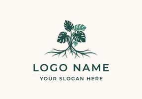 logo monstera leaves and roots. Logo botanical, floral and home plants. Editable file vector