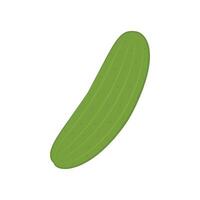 Cucumber . Cucumber on white background. vector