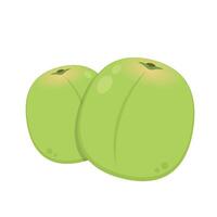 Plum cartoon . Plum on white background. vector