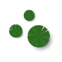 Lily pad icon. Lily cartoon on white background. vector
