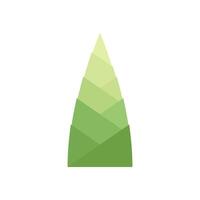 Bamboo shoots . Bamboo shoots on white background. vector