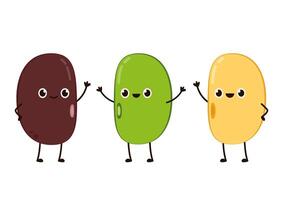 Mung bean, Kidney bean and Soy bean on white background. vector