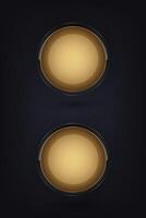 Set of two Button of the overall design exudes a sense of premium quality and sophistication, suitable for high-end branding or luxury products vector