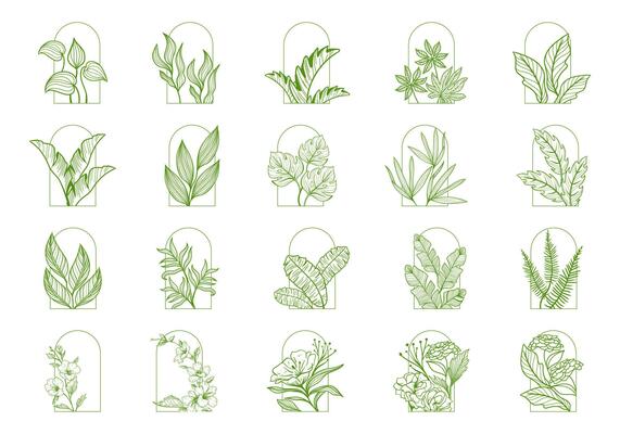Artistic Floral Frame Element Set