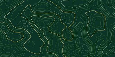 abstract banner with a topography map design vector