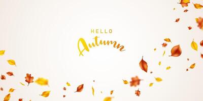 background of fluttering leaves Background for autumn illustration vector