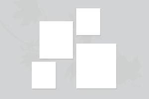 Minimalist shadow overlay photo frame vector