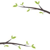Green leaves frame. illustration of tree branch with green leaves on white background. vector