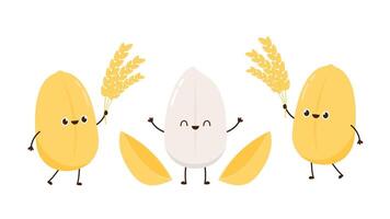 Paddy character design. rice on white background. rice seed. vector