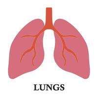 Lung icon design vector