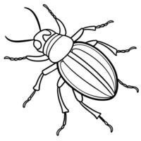 Ambrosia Beetle bug walks icon illustration vector