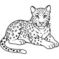 Amur Leopard rests icon illustration vector