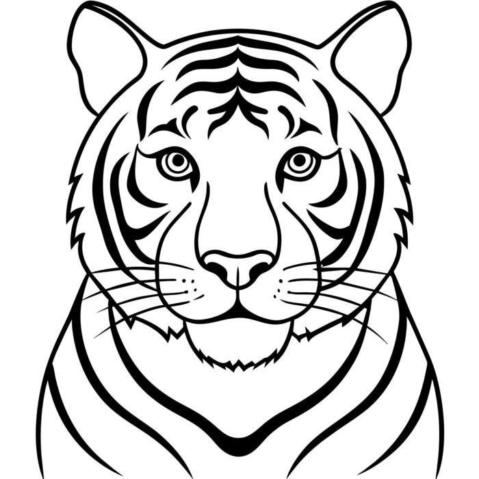 Tiger Drawing Vector Art Icons and Graphics for Free Download Tiger Drawing Vector Art Icons and Graphics for Free Download
