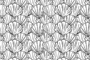 Beautiful seashell pattern on a white background, Nautical design for paper and text. graphics vector